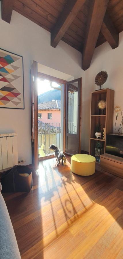 Cal Tranquil Camprodon, Acollidor Atic Al Centre Lägenhet Exteriör bild
